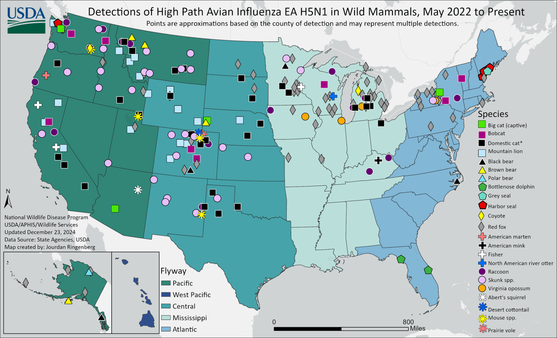 Attention Pet Owners: What You Need to Know About the N5H1 Bird Flu Threat